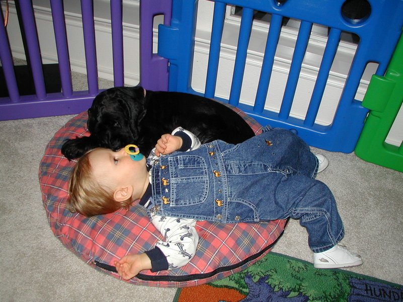 2000-11-23-Thanksgiving-Chance-Scout-07.jpg