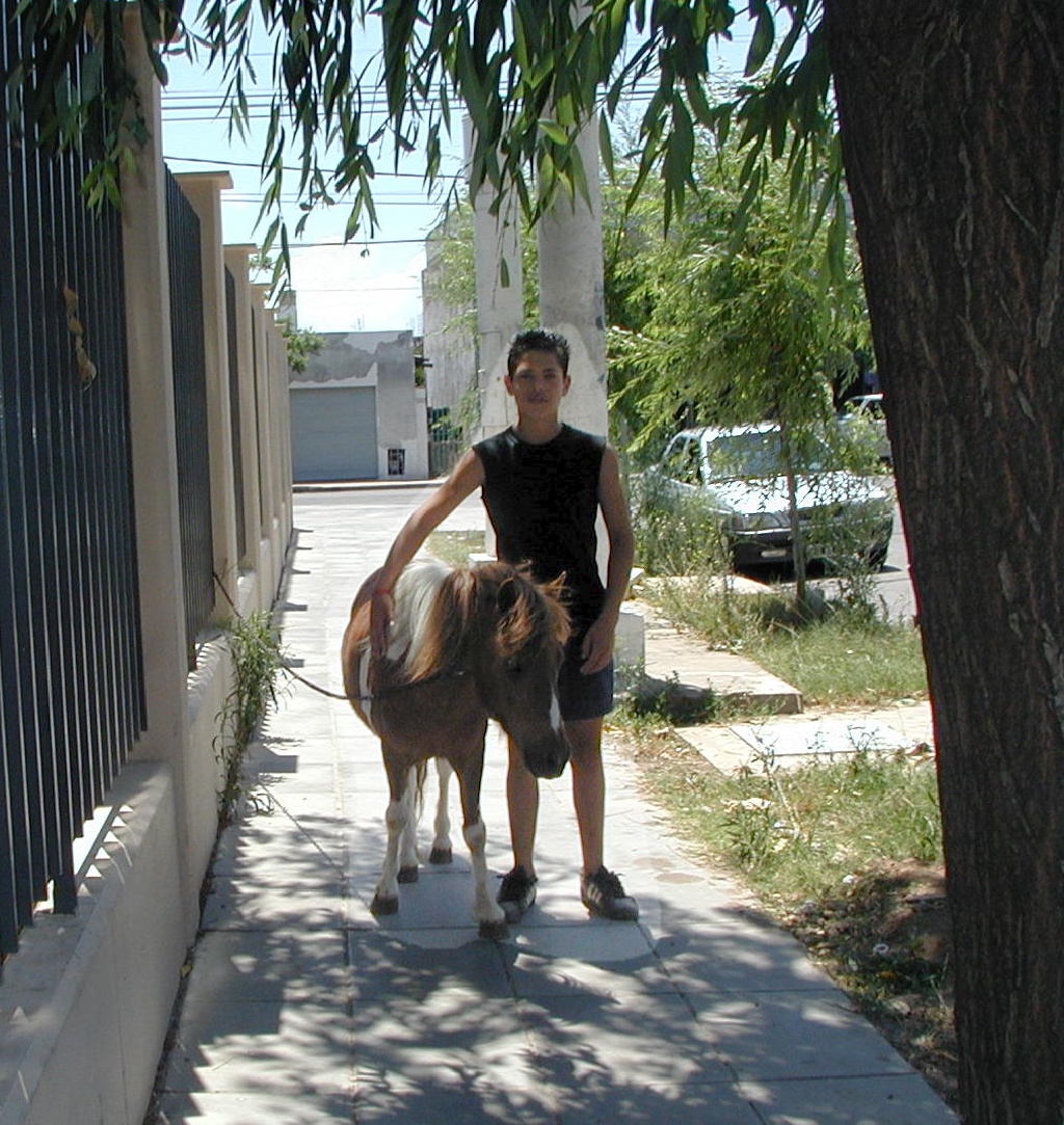 2000/12(December)/Argentina/1024x768_2000-12-26-Argentina-Lio-and-Pony-04.JPG