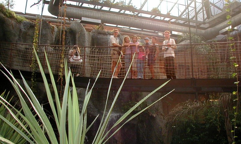 2000-12-27-Argentina-gang-on-suspension-bridge-Zoo-24.JPG