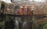 2000-12-27-Argentina-Gang-on-suspension-bridge-Zoo-23.JPG