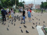 2000-12-27-Argentina-Lio-Chance-Suzi-pigeons-Capital-square-05.JPG