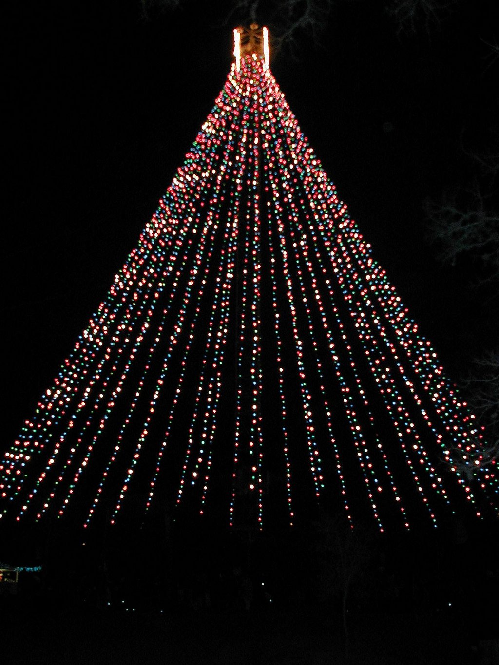 2000/12(December)/Misc/1024x768_2000-12-14-Trail-of-Lights-Tree-14.jpg