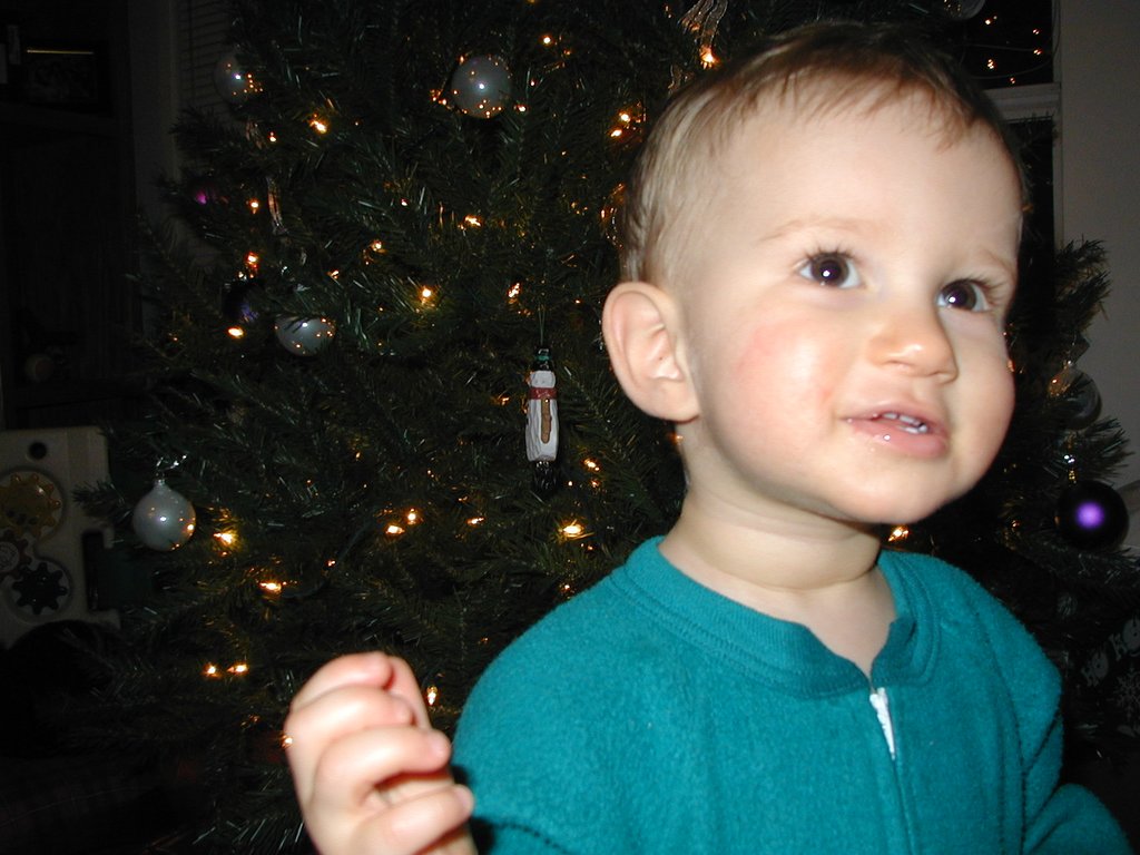 2000/12(December)/Misc/1024x768_2000-12-20-Chance-Xmas-tree-7.jpg