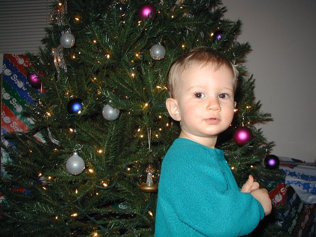 2000-12-20-Chance-Xmas-tree-5.jpg