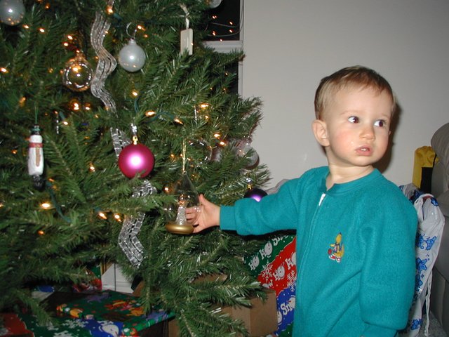 2000/12(December)/Misc/640x480_2000-12-20-Chance-Xmas-tree-8.jpg