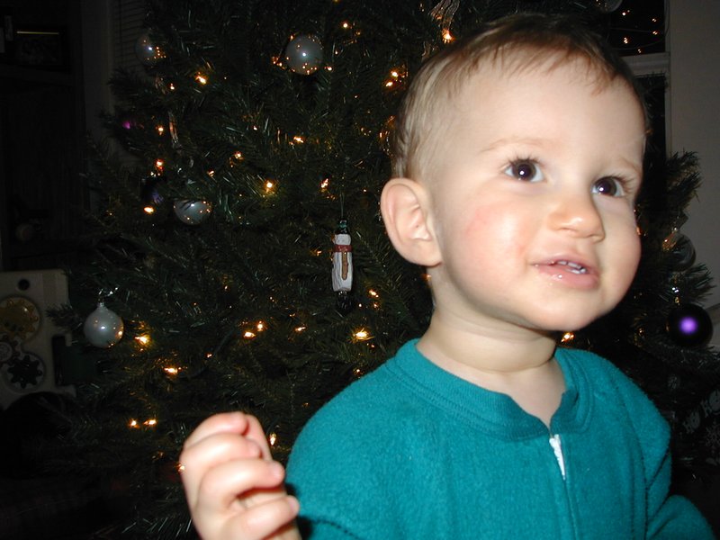2000/12(December)/Misc/800x600_2000-12-20-Chance-Xmas-tree-7.jpg