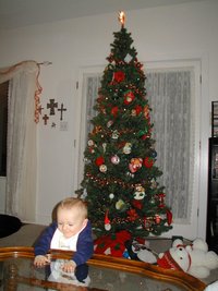 2000-12-02-Vale-Tree-7.JPG