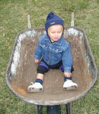 2000-12-11-Chance-inWheelbarrow-03.jpg