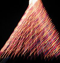 2000-12-14-Trail-of-Lights-Blurry-Tree-but-cool-13.jpg