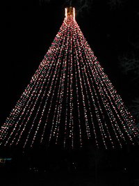 2000-12-14-Trail-of-Lights-Tree-14.jpg