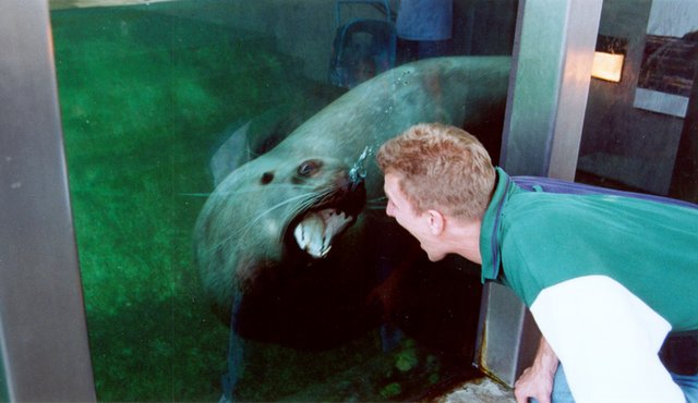 2000/Best/640x480_2000-07-Travis-Blows-A-Seal.jpg