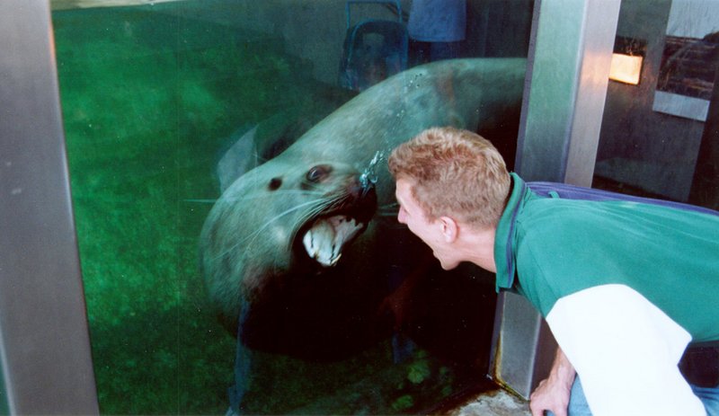 2000/Best/800x600_2000-07-Travis-Blows-A-Seal.jpg