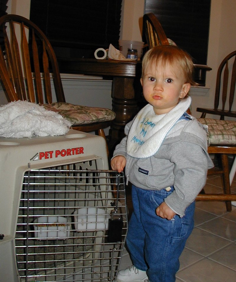 2000-11-11-Chance-Scout-kennel-3.jpg