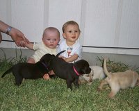 2000-08-11-Puppies-Vale-Chance-6.JPG