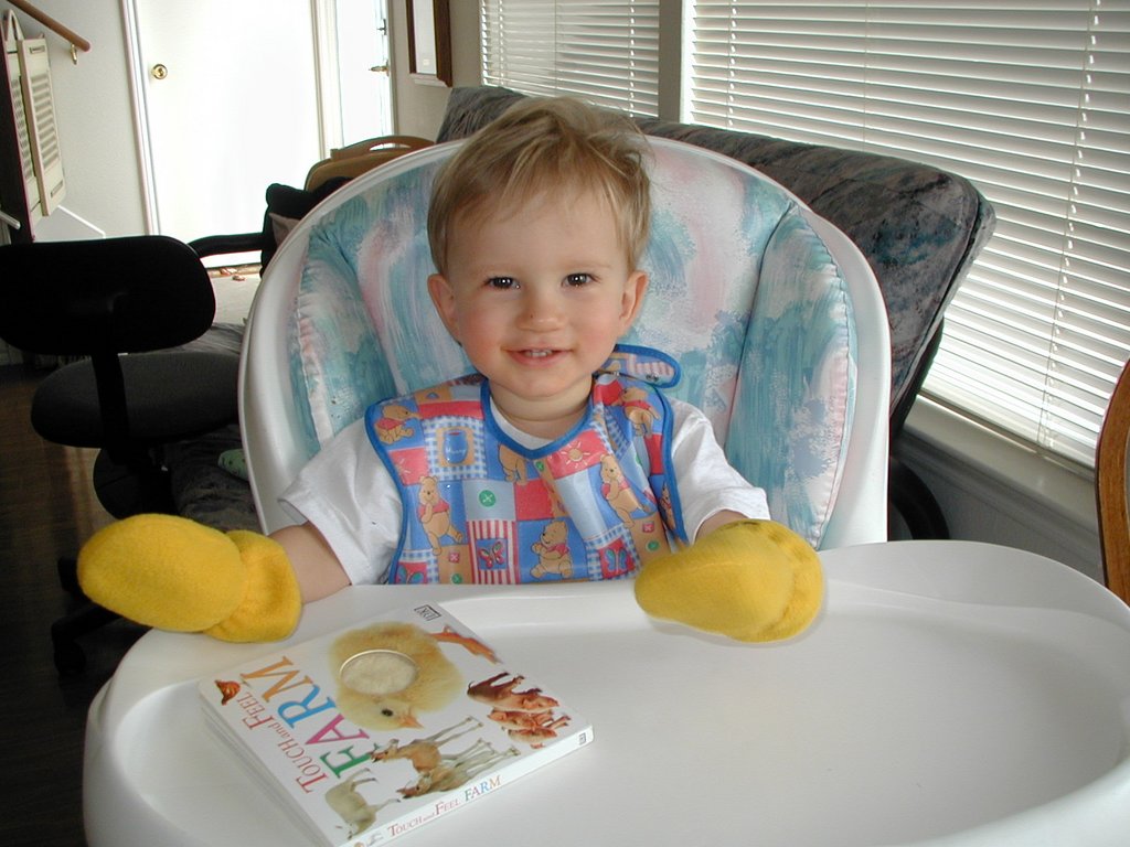 2001_02_20_chancemittens.jpg