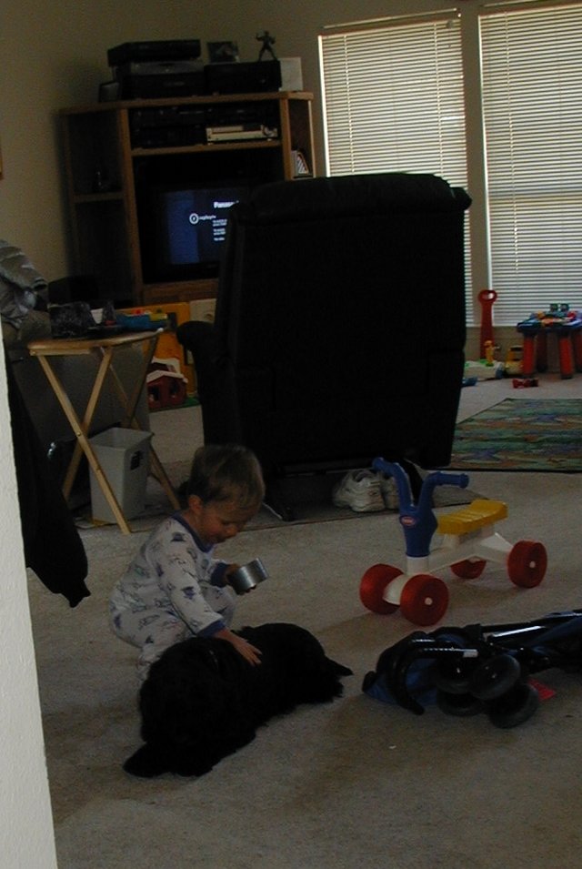 2001-02-18-Chance-Scout-1.jpg