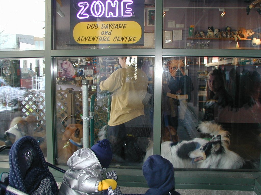 2001-02-14-Whistler-03-Chance-Vale-Doggie-Daycare.JPG