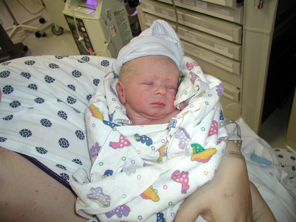 2001/03(March)/Hayden/1024x768_P3260041.jpg