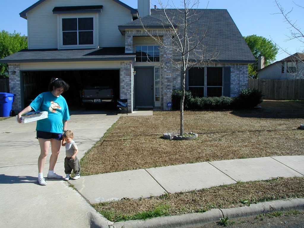 2001/03(March)/Misc/2001-03-09-House-lawn-dethatched-1.jpg