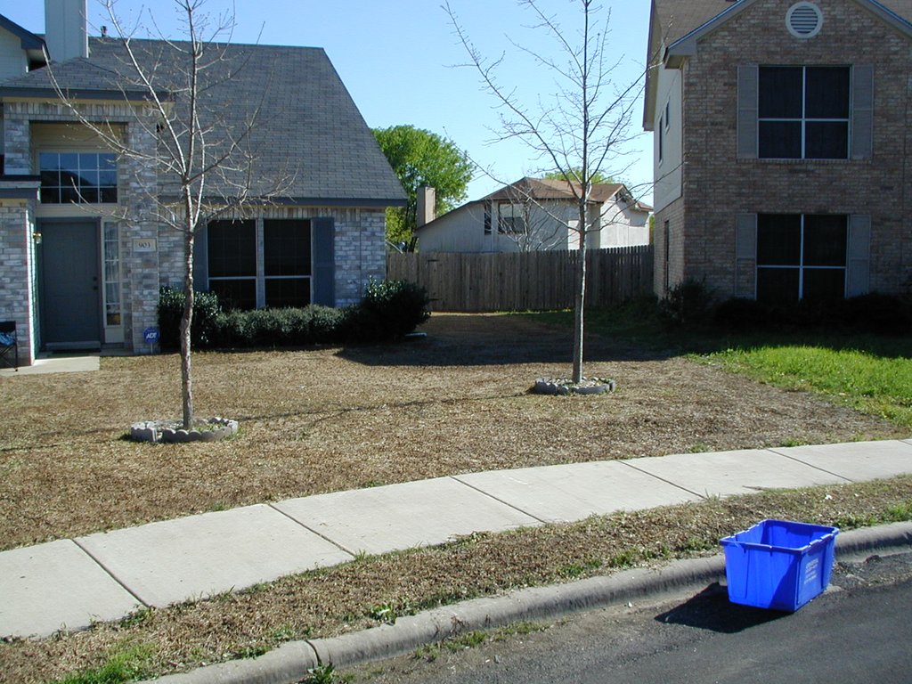 2001-03-09-House-lawn-dethatched-2.jpg