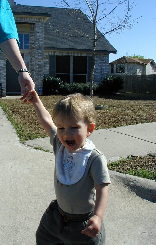 2001-03-09-House-lawn-dethatched-Chance-3.jpg