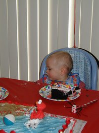 2001-03-04-Vale-1st-Bday-12-Vale-cake.jpg