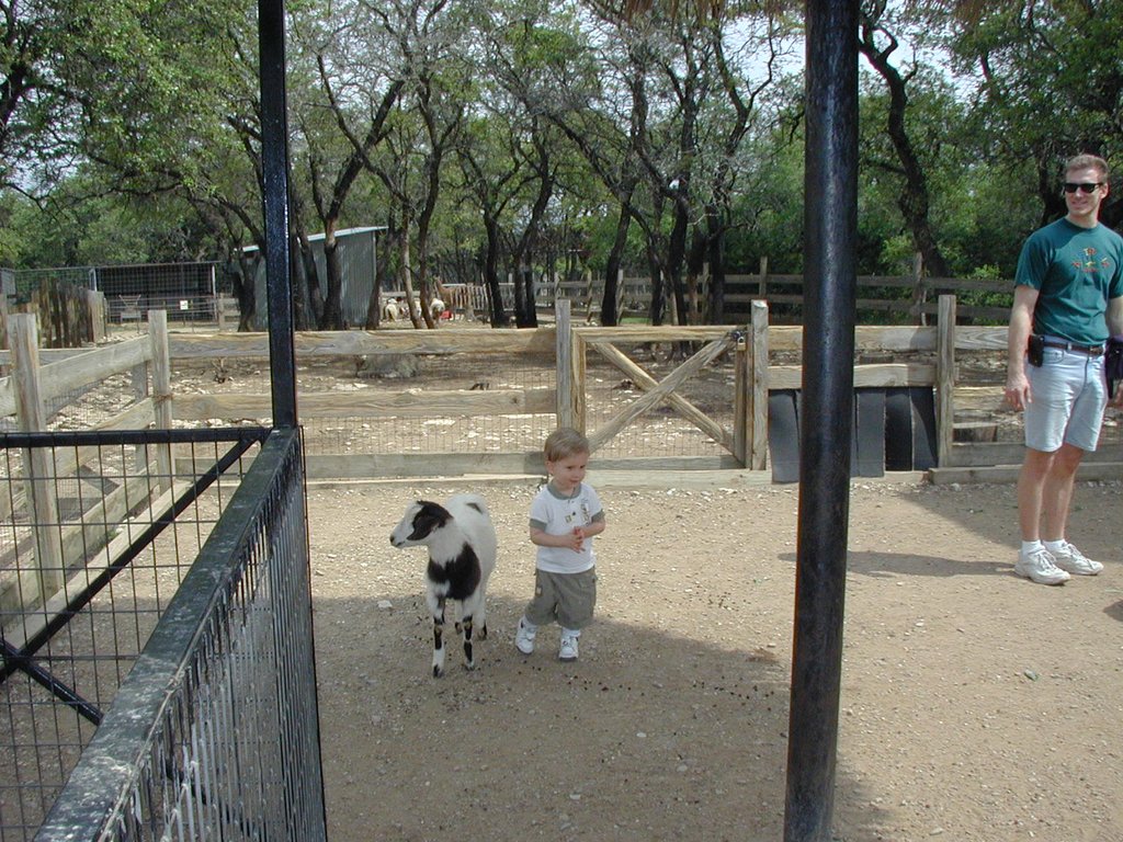 2001-04-07-08-Austin-Zoo-Chance-Goat.jpg