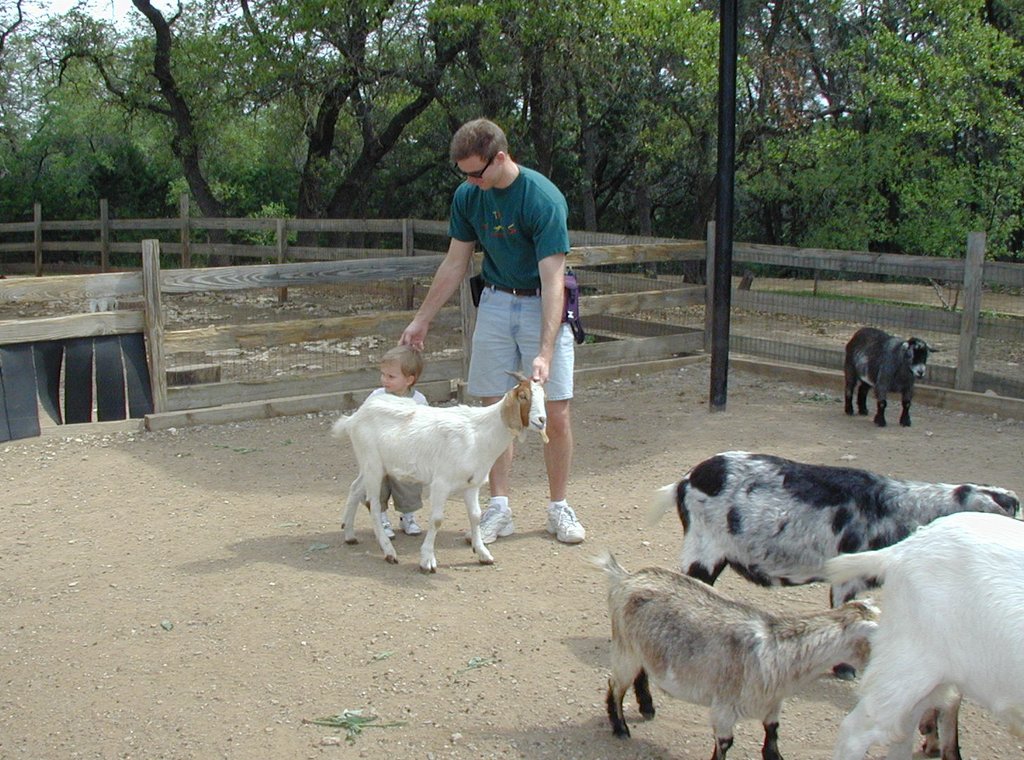 2001/04(April)/AustinZoo/1024x768_2001-04-07-10-Austin-Zoo-Chance-Travis-Goats.jpg
