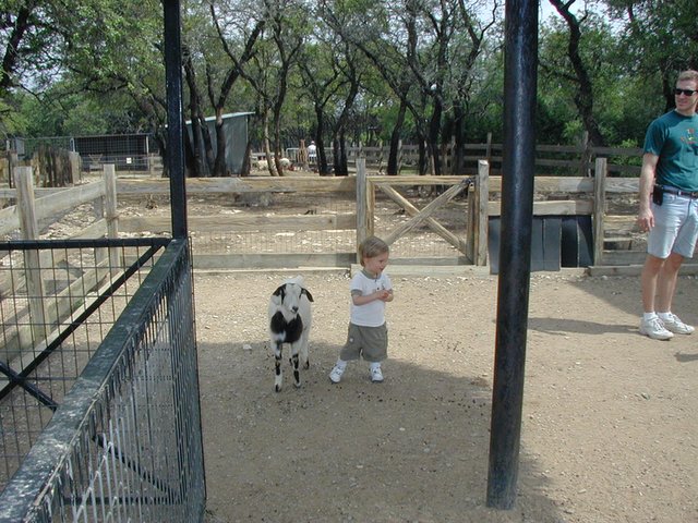 2001-04-07-07-Austin-Zoo-Chance-Goat.jpg