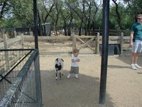 2001-04-07-07-Austin-Zoo-Chance-Goat.jpg