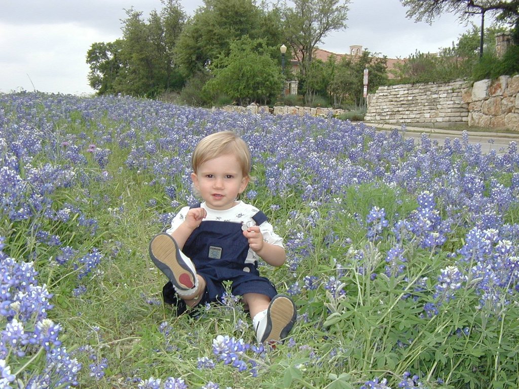 2001/04(April)/BlueBonnets/1024x768_2001-04-07-BlueBonnets-06-Chance.jpg