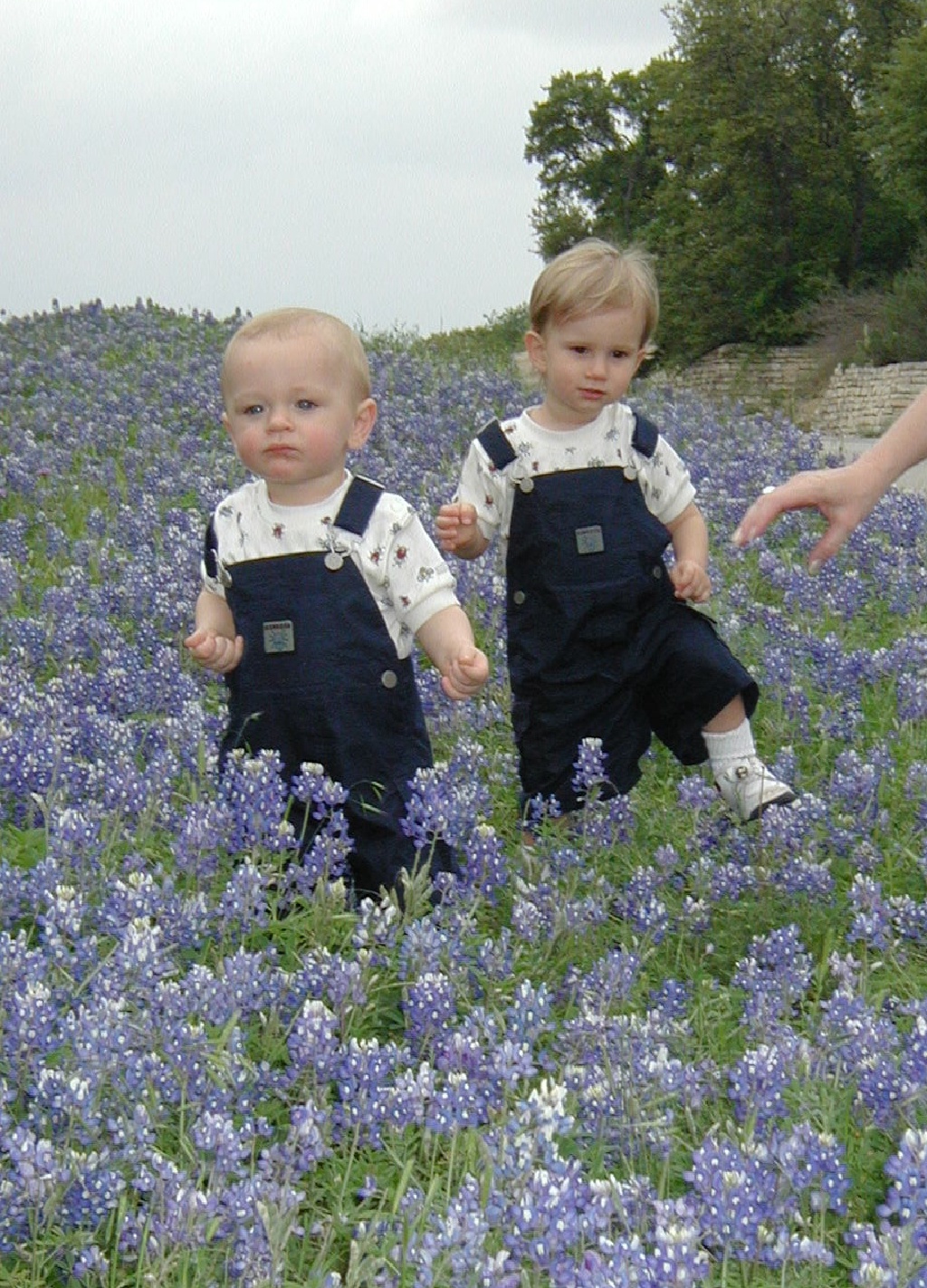 2001/04(April)/BlueBonnets/1024x768_2001-04-07-BlueBonnets-10-Chance-Vale.jpg