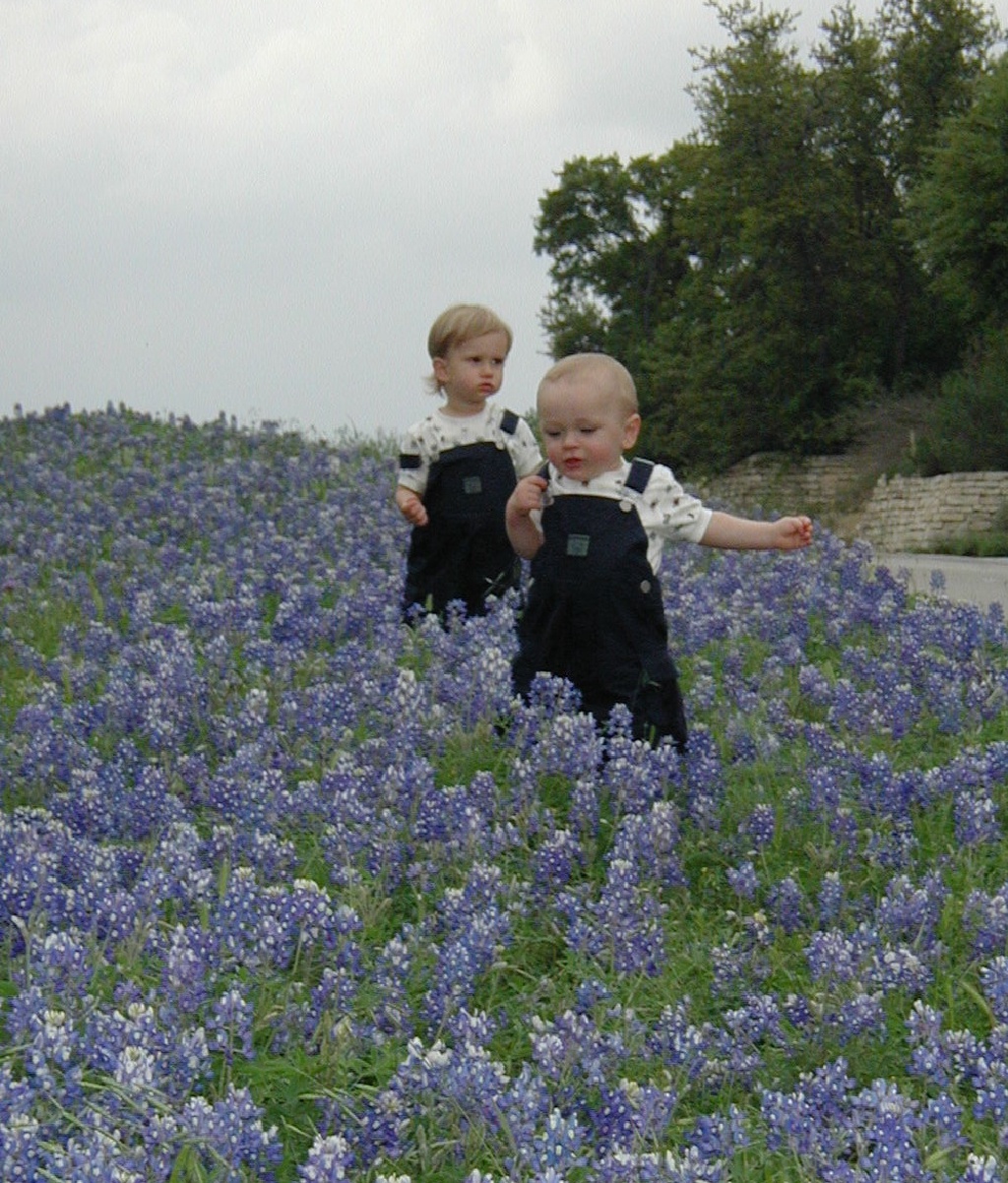 2001/04(April)/BlueBonnets/1024x768_2001-04-07-BlueBonnets-12-Chance-Vale.jpg