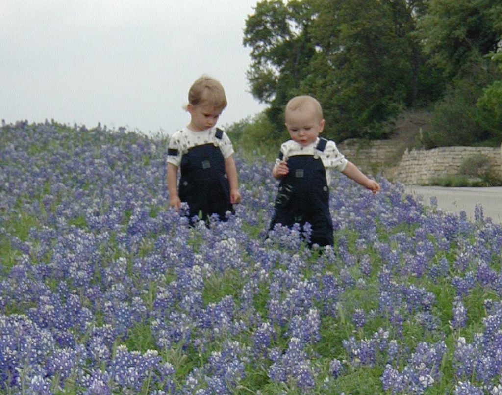 2001/04(April)/BlueBonnets/1024x768_2001-04-07-BlueBonnets-14-Chance-Vale.jpg