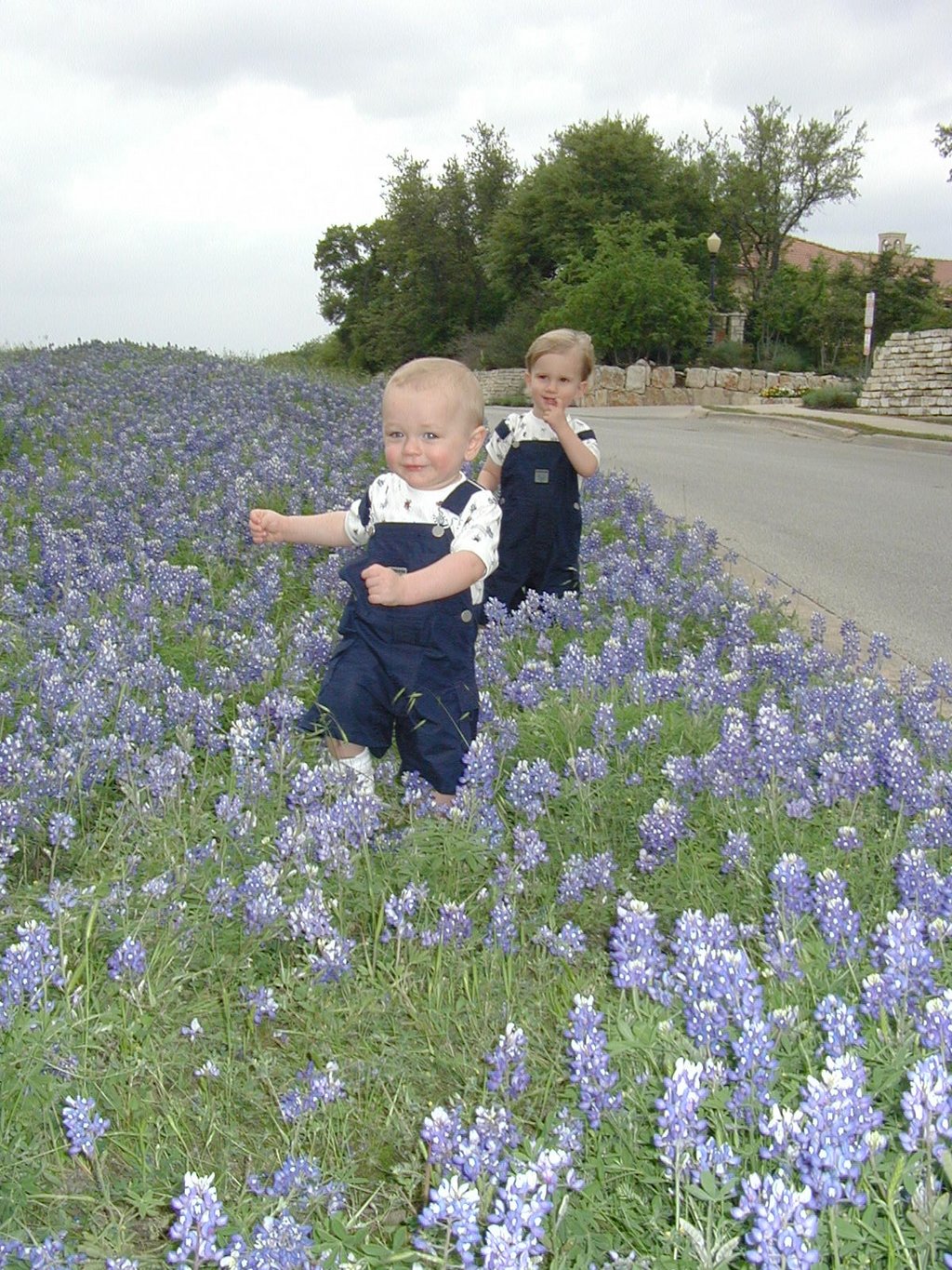2001/04(April)/BlueBonnets/1024x768_2001-04-07-BlueBonnets-17-Chance-Vale.jpg
