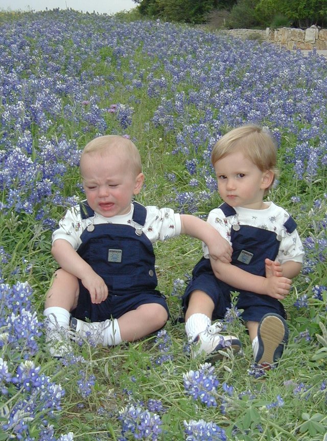 2001-04-07-BlueBonnets-05-Chance-Vale.jpg