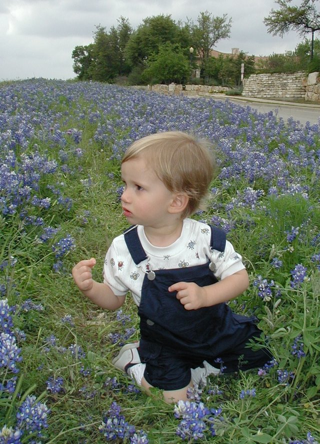 2001-04-07-BlueBonnets-08-Chance.jpg