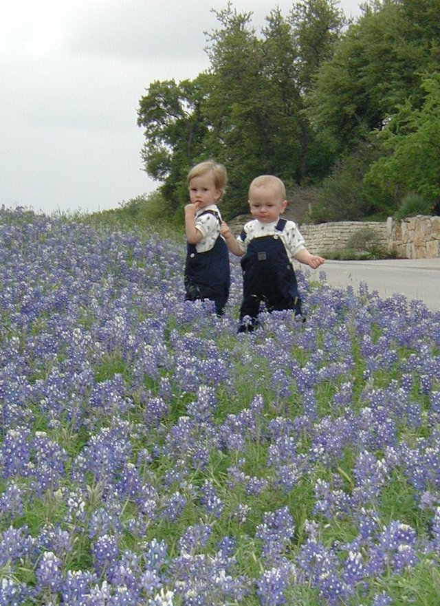 2001-04-07-BlueBonnets-09-Chance-Vale.jpg