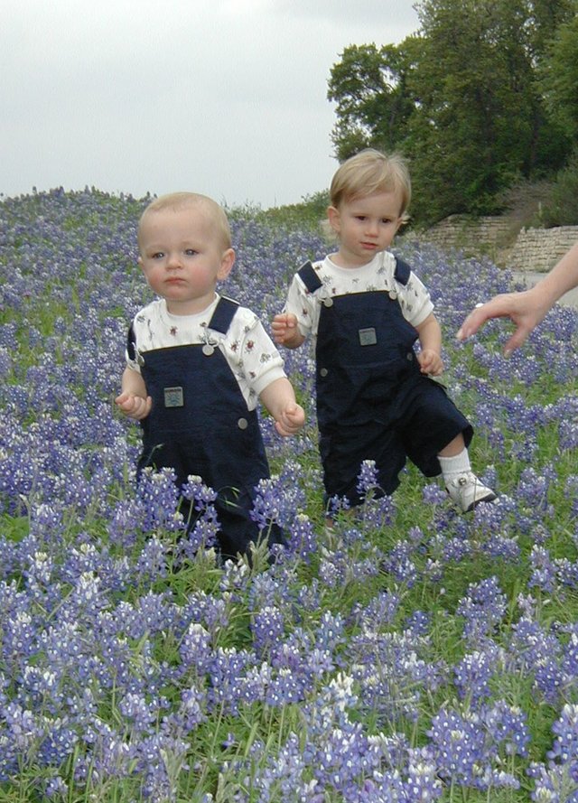 2001-04-07-BlueBonnets-10-Chance-Vale.jpg