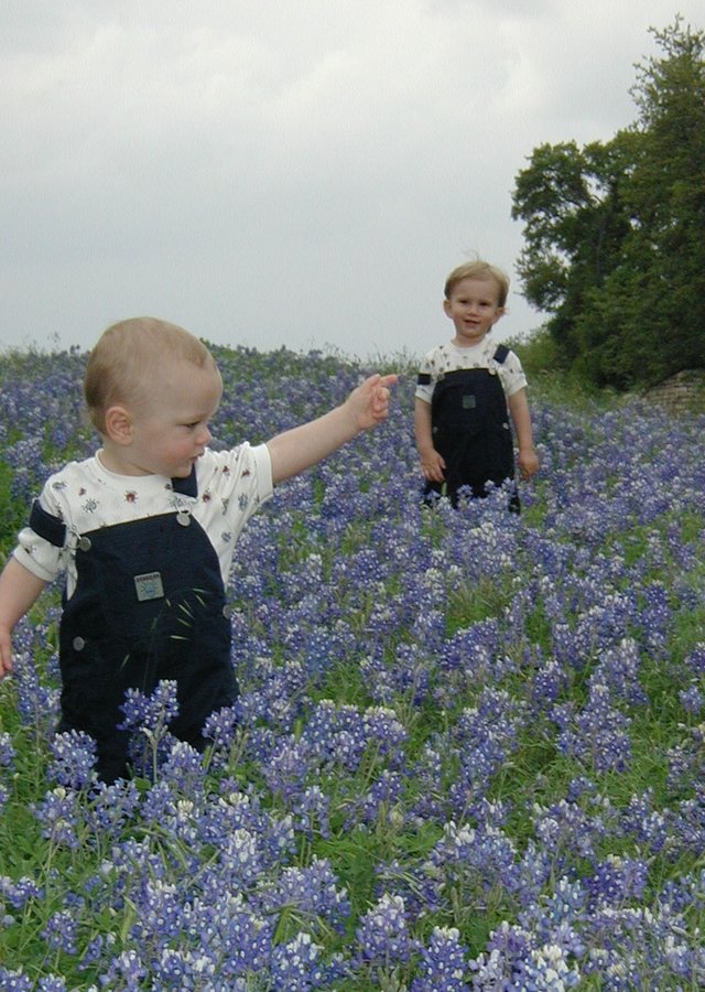 2001-04-07-BlueBonnets-13-Chance-Vale.jpg