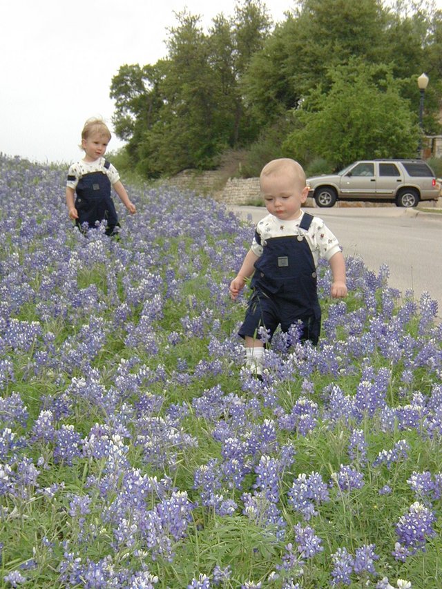 2001-04-07-BlueBonnets-15-Chance-Vale.jpg