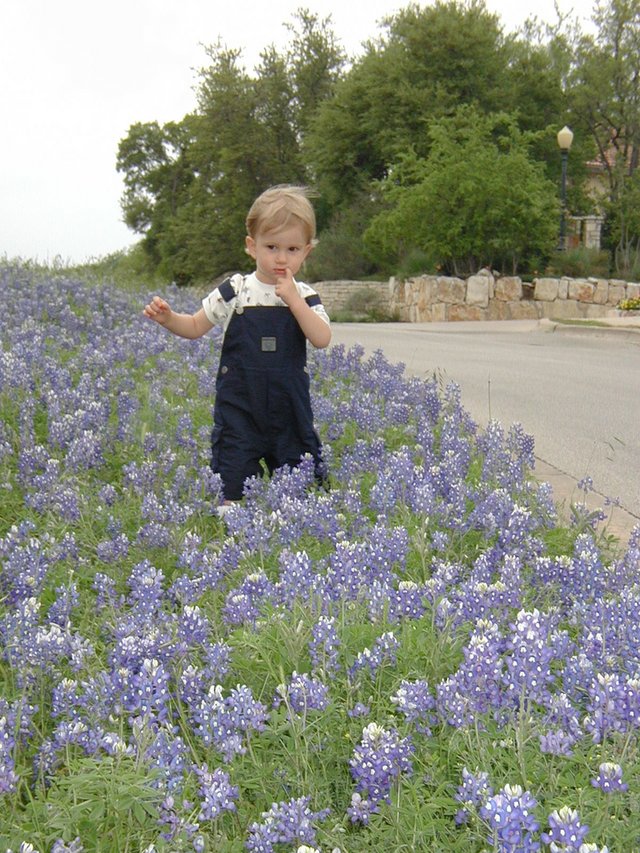 2001-04-07-BlueBonnets-16-Chance.jpg
