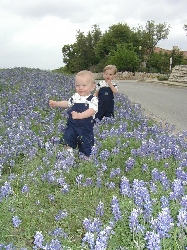 2001/04(April)/BlueBonnets/640x480_2001-04-07-BlueBonnets-17-Chance-Vale.jpg