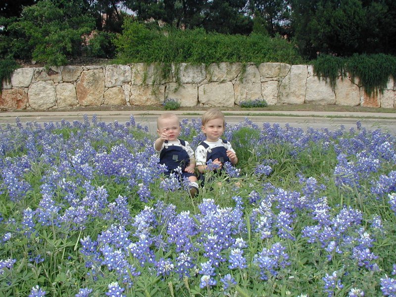2001/04(April)/BlueBonnets/800x600_2001-04-07-BlueBonnets-03-Chance-Vale.jpg