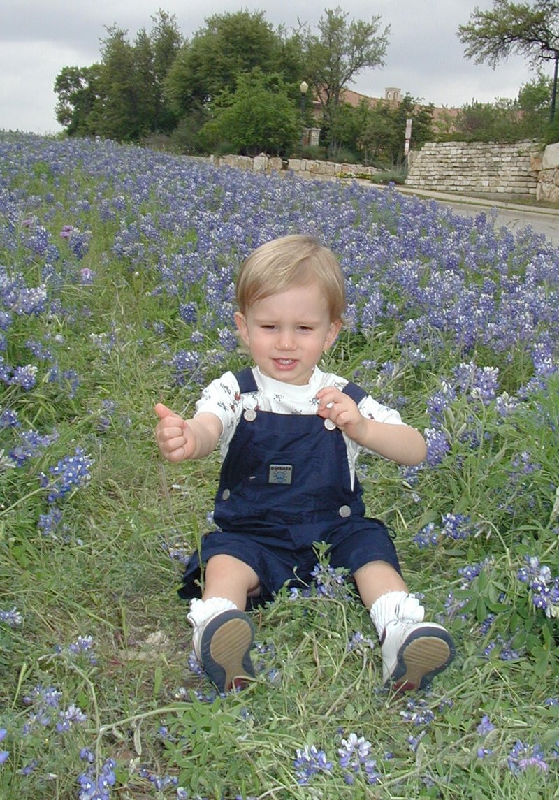 2001/04(April)/BlueBonnets/800x600_2001-04-07-BlueBonnets-07-Chance.jpg