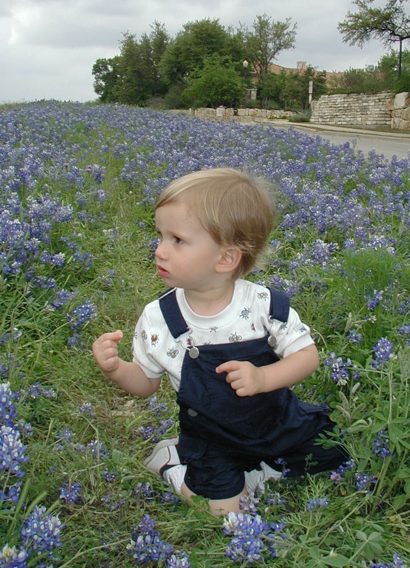 2001/04(April)/BlueBonnets/800x600_2001-04-07-BlueBonnets-08-Chance.jpg