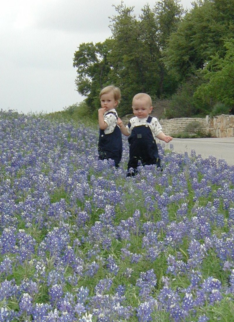 2001/04(April)/BlueBonnets/800x600_2001-04-07-BlueBonnets-09-Chance-Vale.jpg