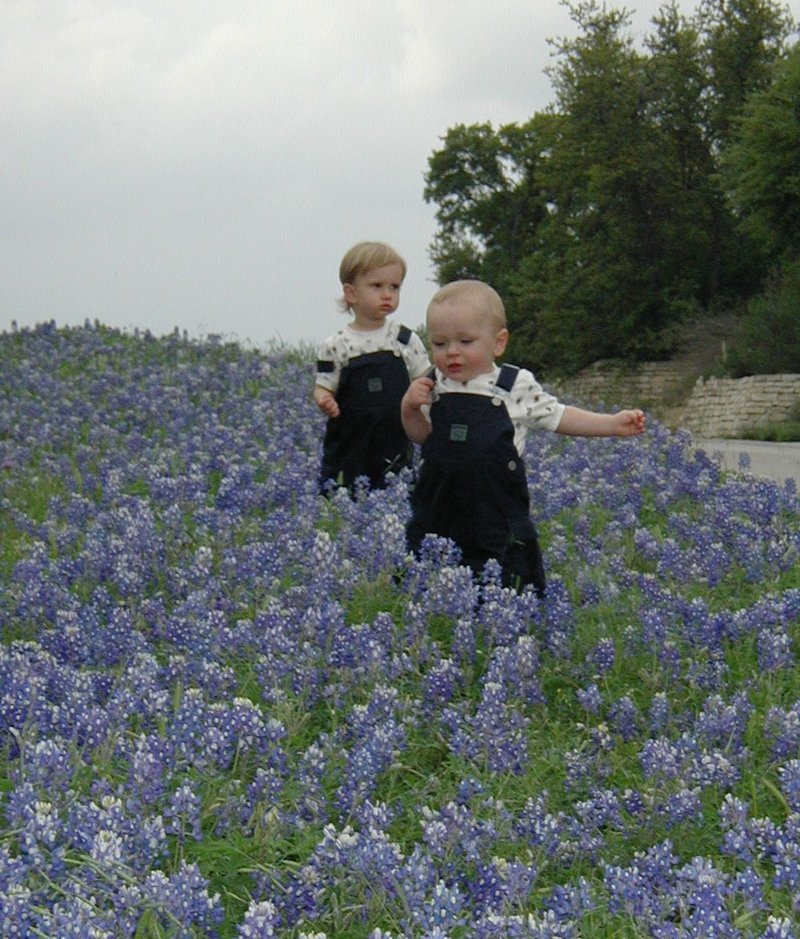 2001/04(April)/BlueBonnets/800x600_2001-04-07-BlueBonnets-12-Chance-Vale.jpg