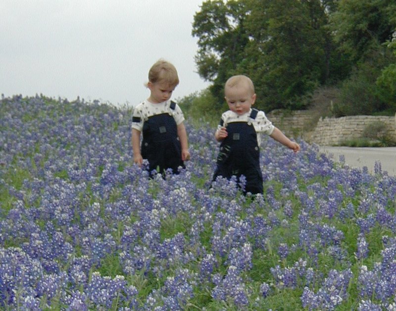 2001-04-07-BlueBonnets-14-Chance-Vale.jpg