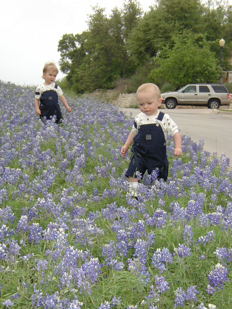 2001/04(April)/BlueBonnets/800x600_2001-04-07-BlueBonnets-15-Chance-Vale.jpg